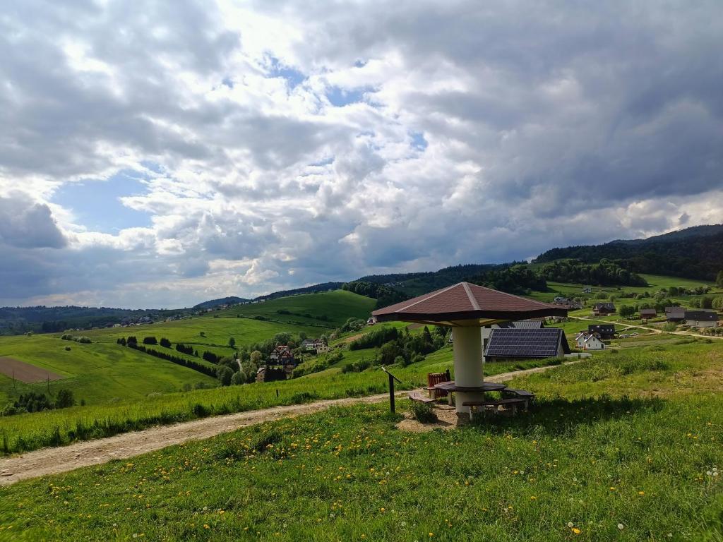 Widok na Trzy Korony z tarasu