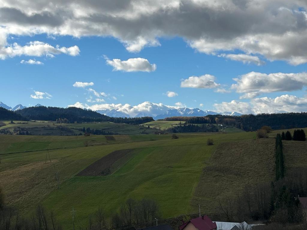 Ogród i grill przy domkach